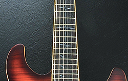 SZ520FM | Ibanez Wiki | Fandom
